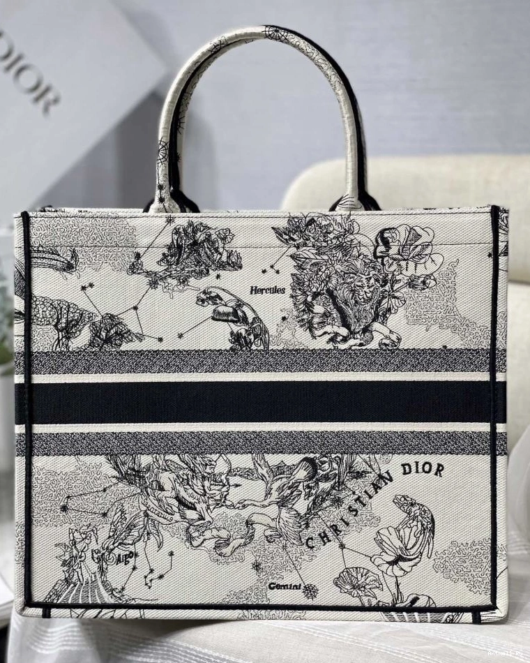 75604 GoAnywhere Dior Christian Bags Shopping 0719